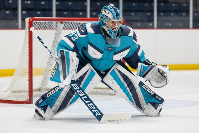 Professional goalie protective gear and equipment