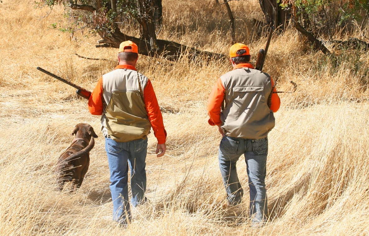 Why Guided Hunts Are Safer and More Successful