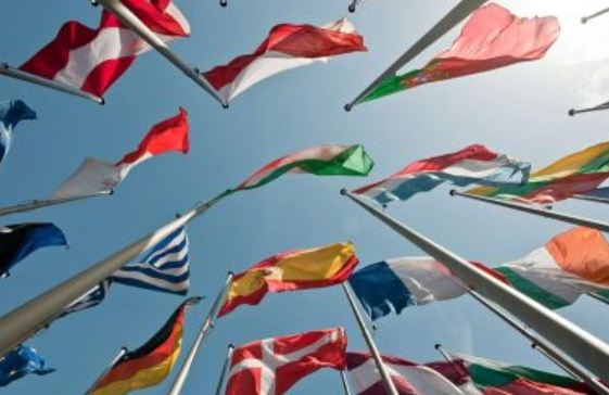 Custom National Flag Manufacturing Meeting Official Standards