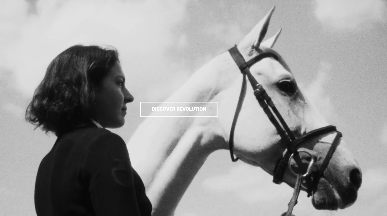 luxury equestrian brands