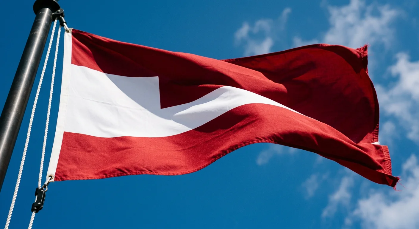 Flag color limitation rule - use 2 to 3 basic colors for maximum visibility