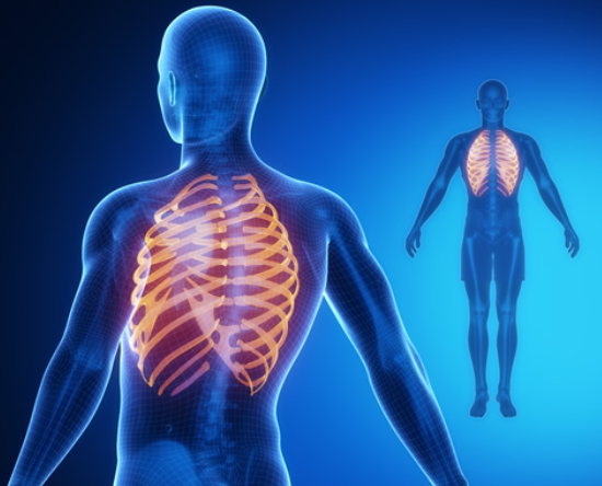 Why Equestrians Wear Safety Vests