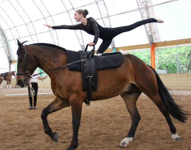 Equestrian Vaulting - Gymnastics on Horseback