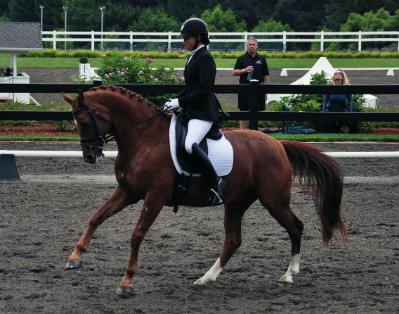 RunEquestrian - B2B equestrian clothing factory