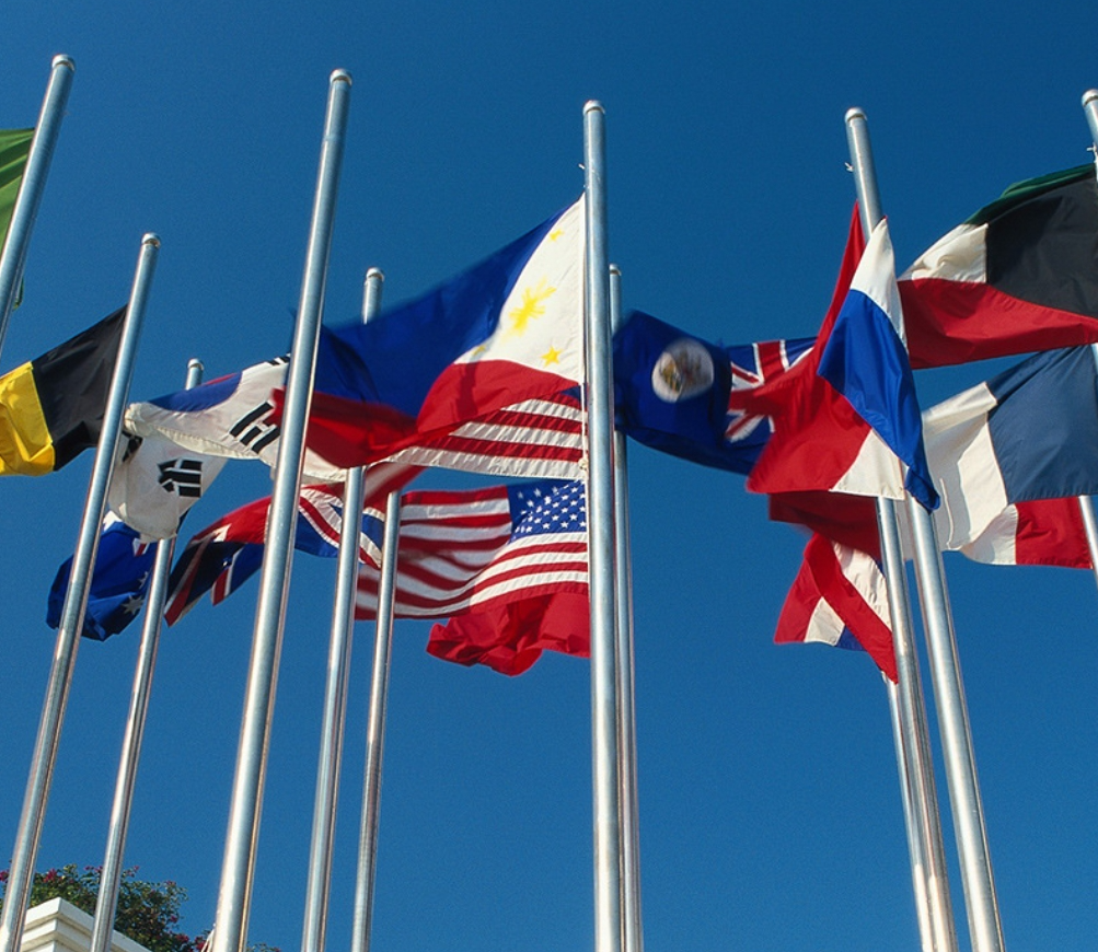 Custom national flag success stories - wholesale buyers case studies