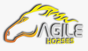 Agile Horses private label equestrian clothing India